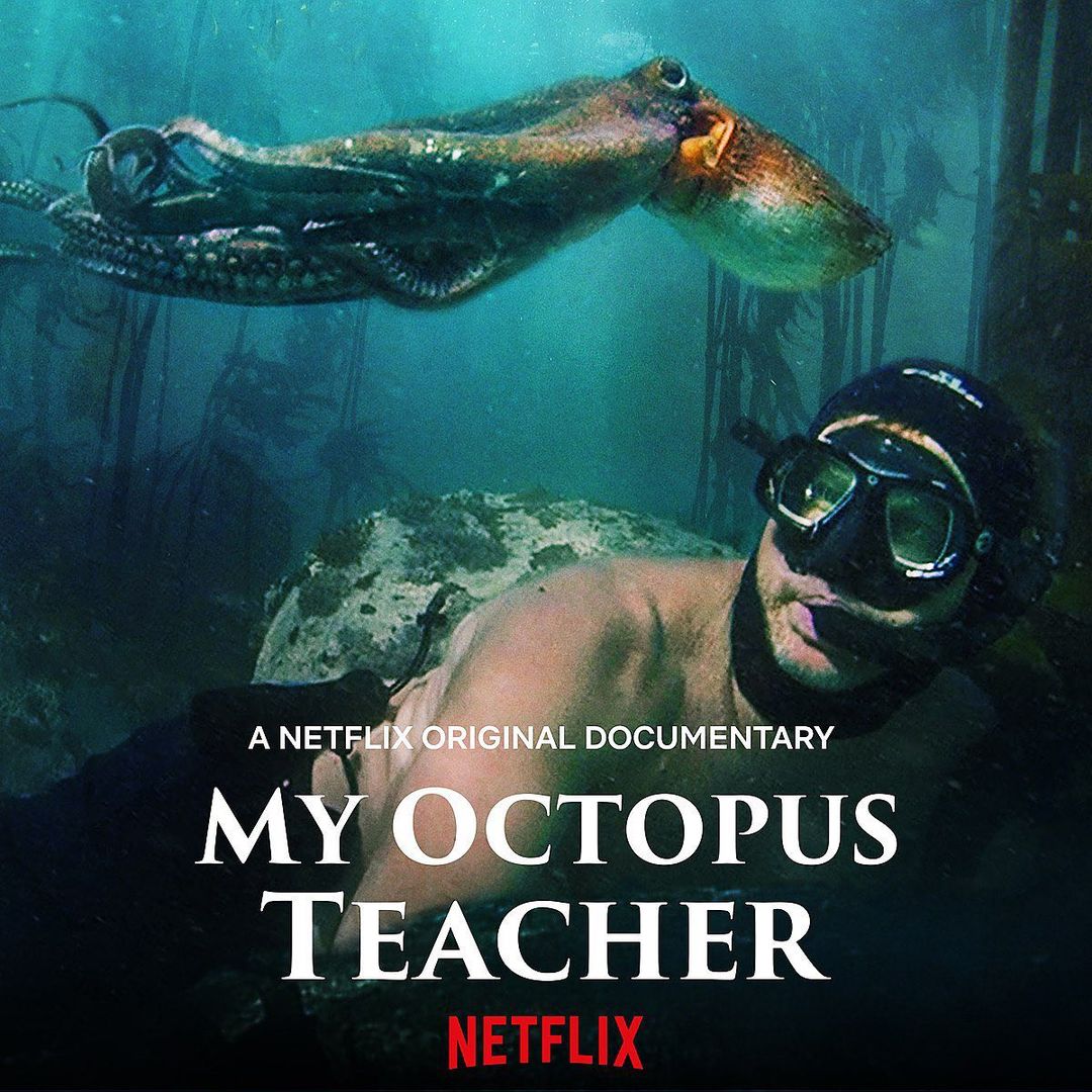 My Octopus Teacher poster