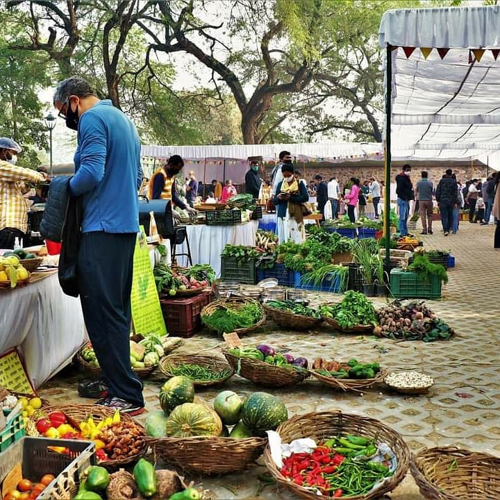 Farmer's Markets