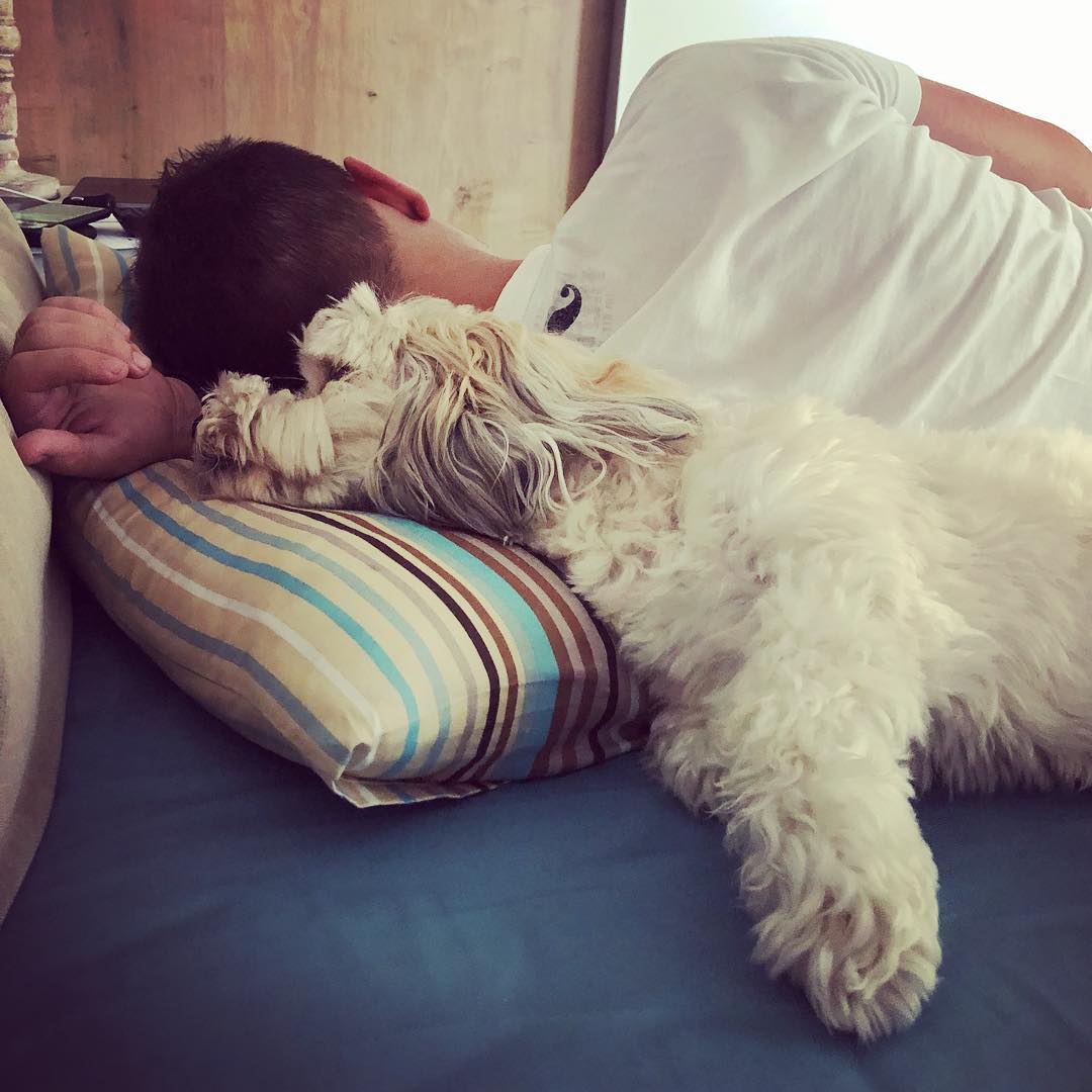 A dog asleep in bed with a man