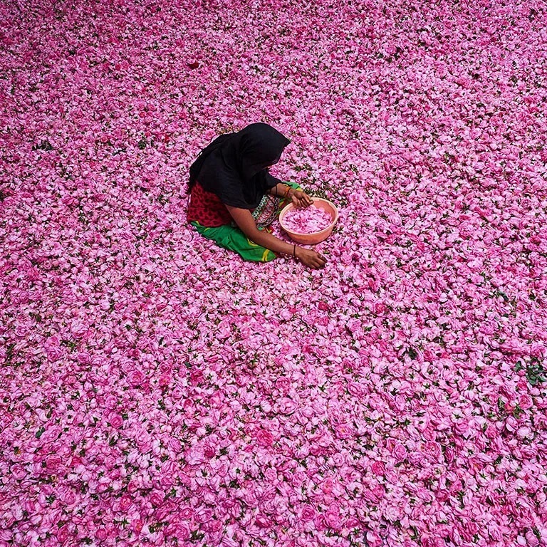 A woman collecting petal off the floors