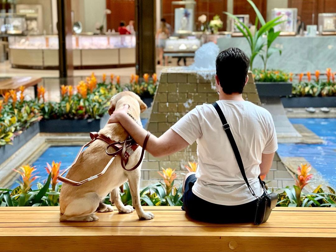 Guide Dog
