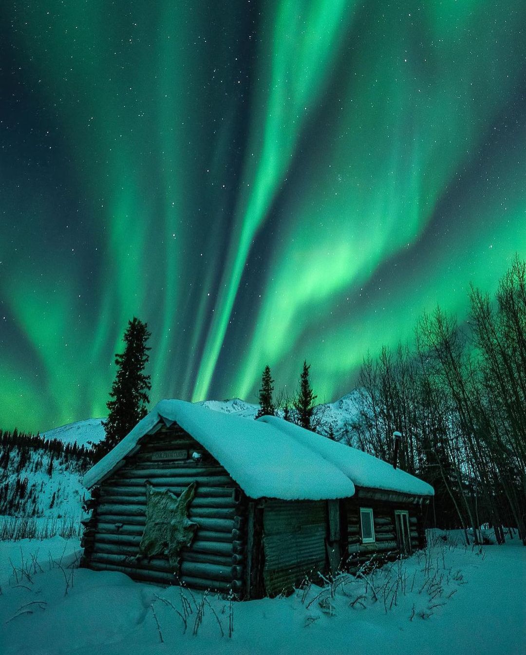 Northern Lights