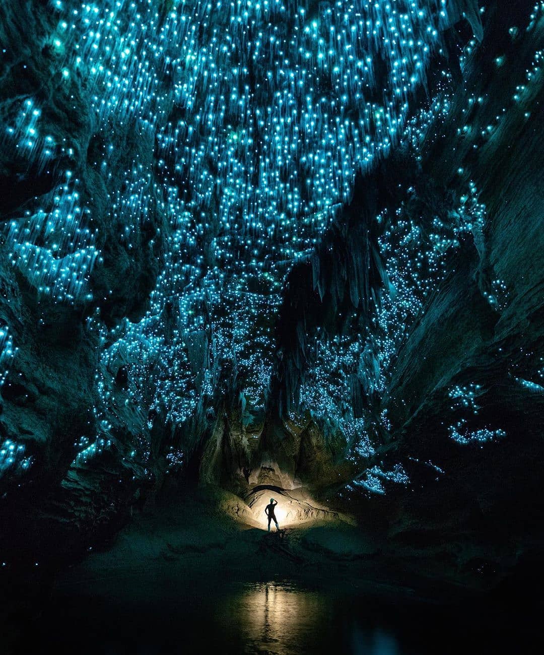 Glowworm caves of New Zealand