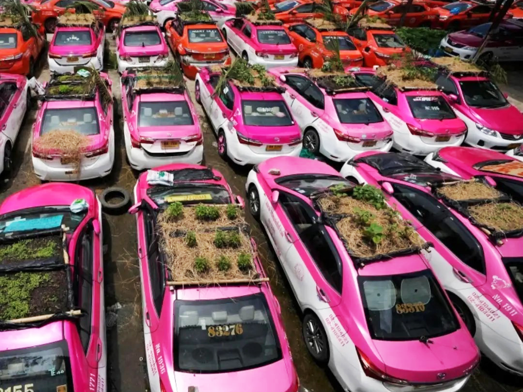 Taxi Garden Bangkok