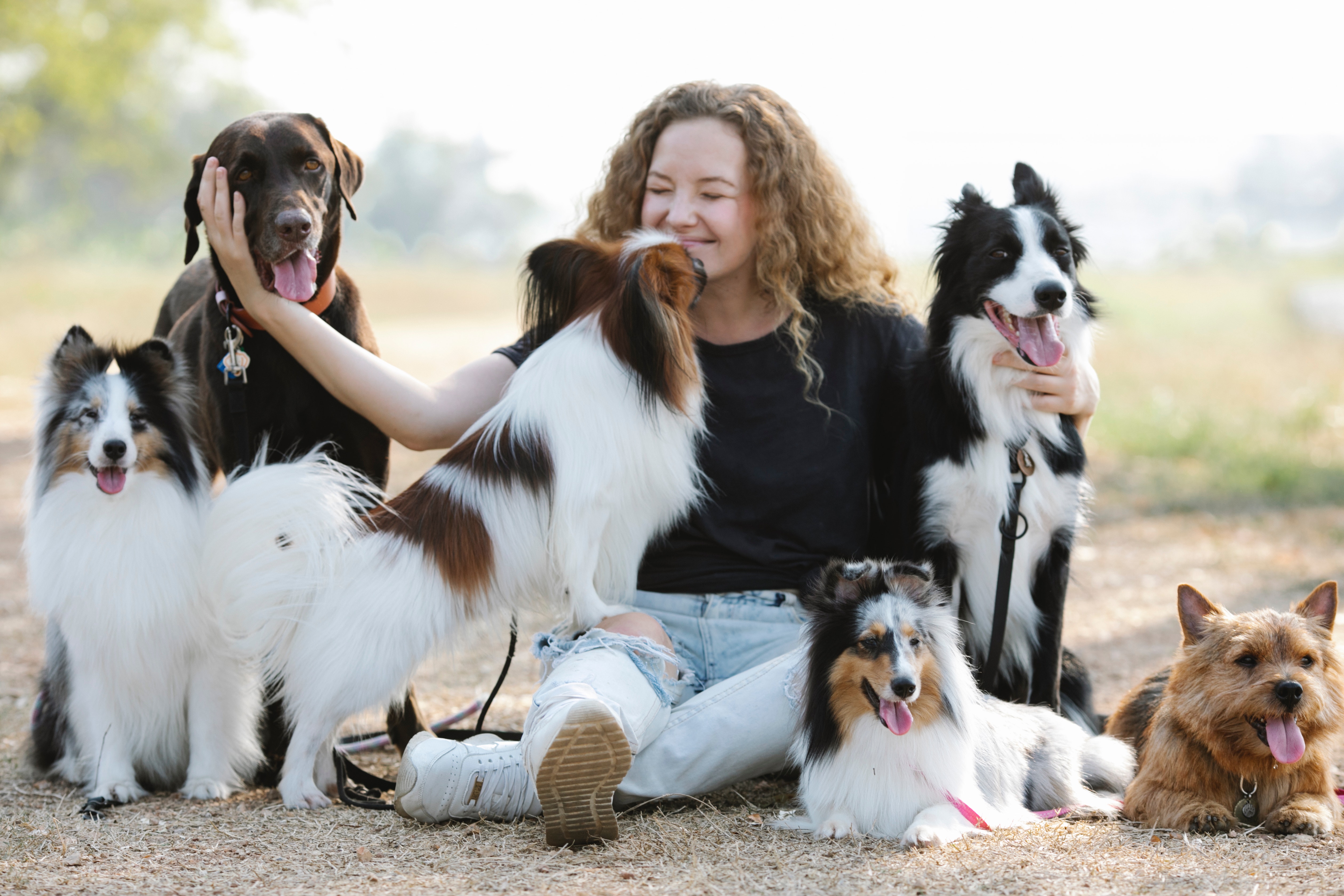 Woman petting dogs