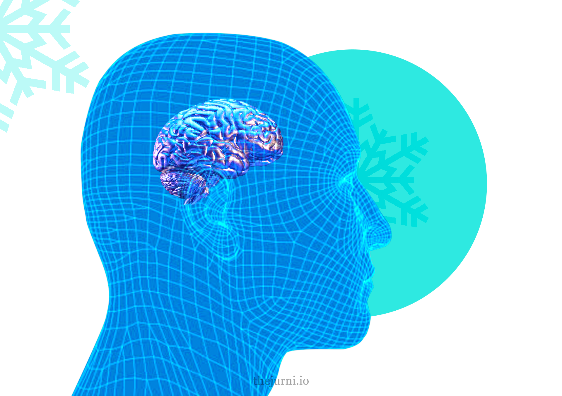 Human brain graphic