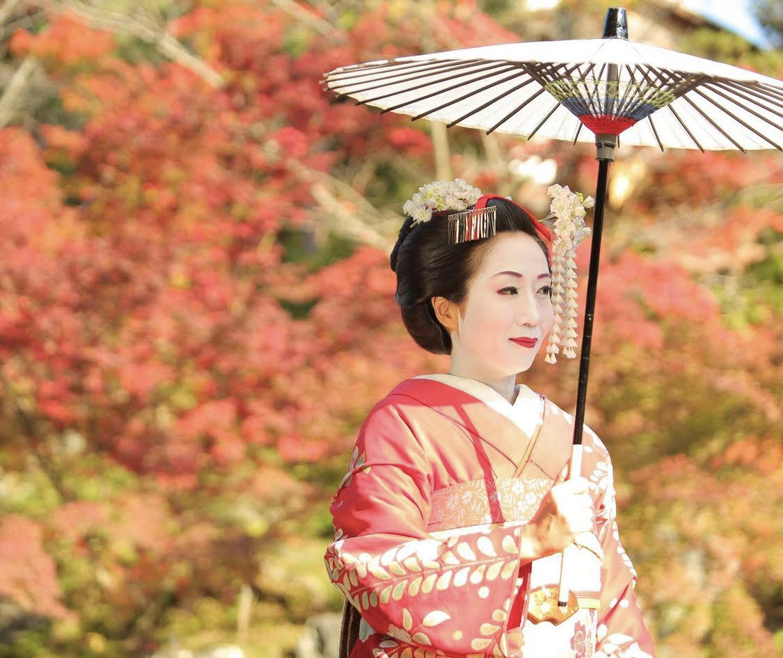 A graceful Geisha seen on an Autumn morning in Kyoto, Japan.