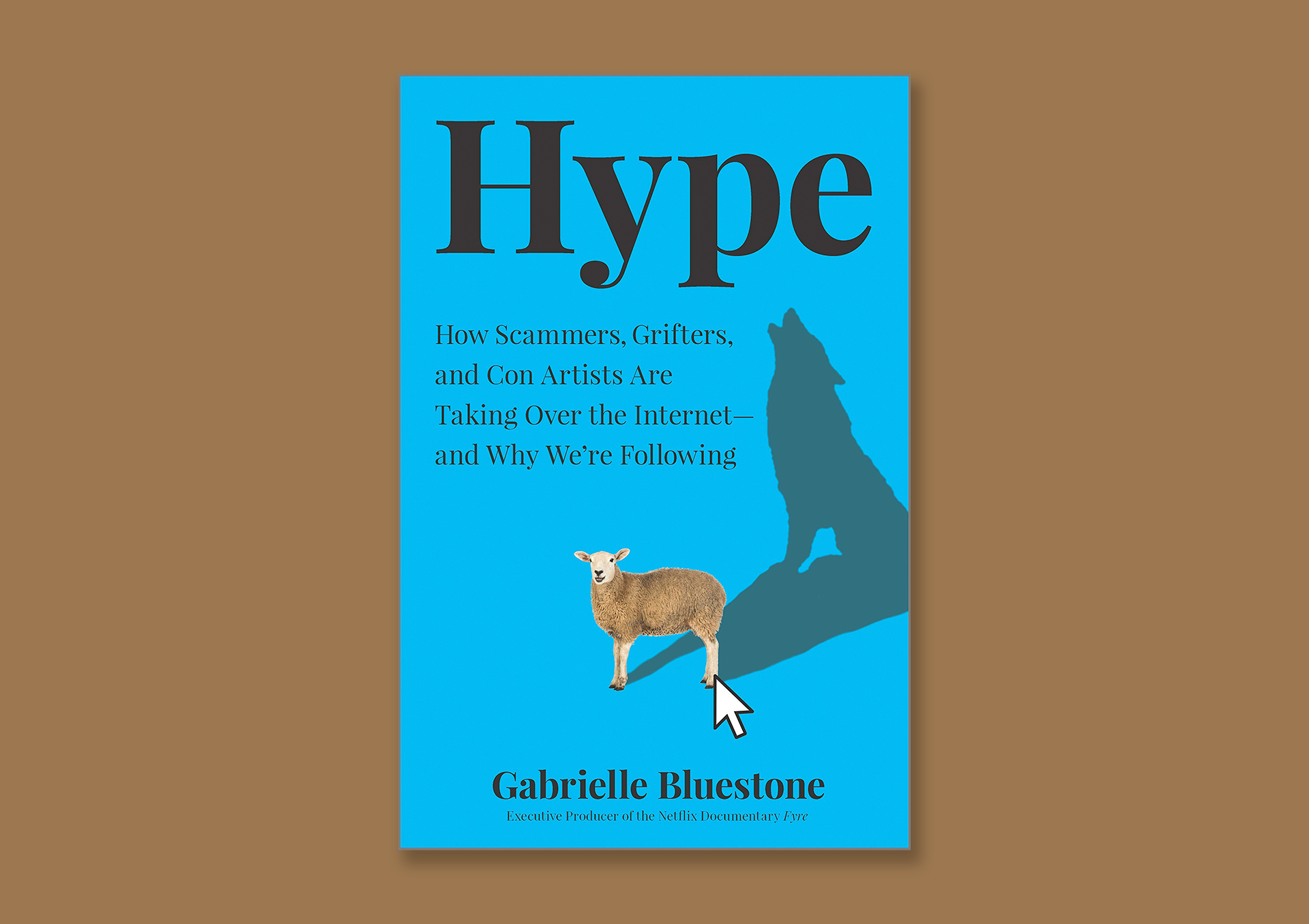 Hype book cover