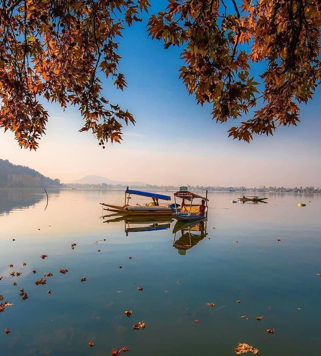 Shikara on Dal lake