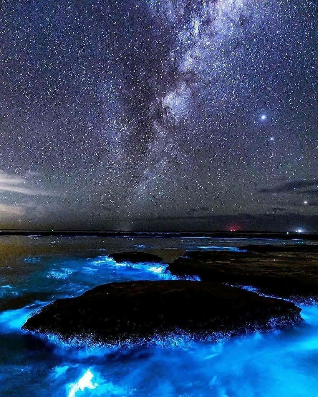 bioluminescence  in australia