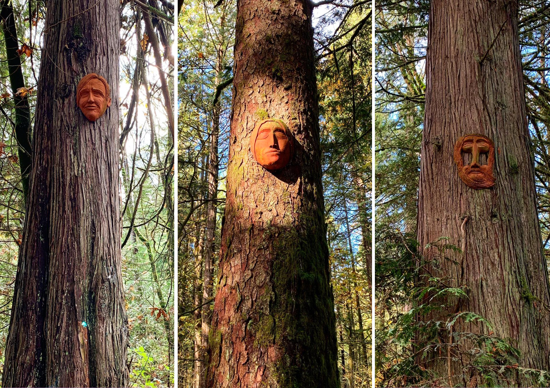 Spirit Trail in British Columbia, Canada