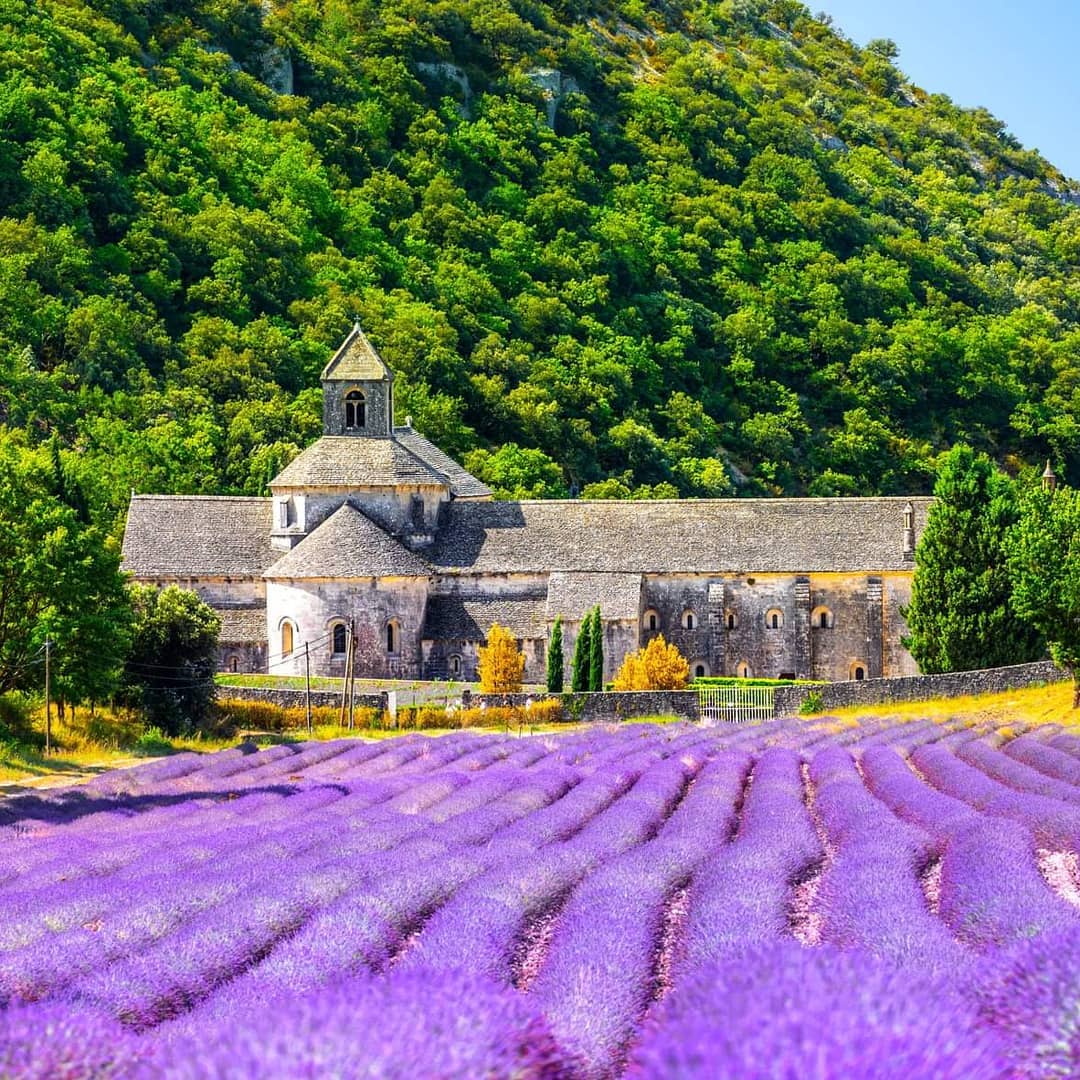 An abbey surrounded by lavender fields in Provence