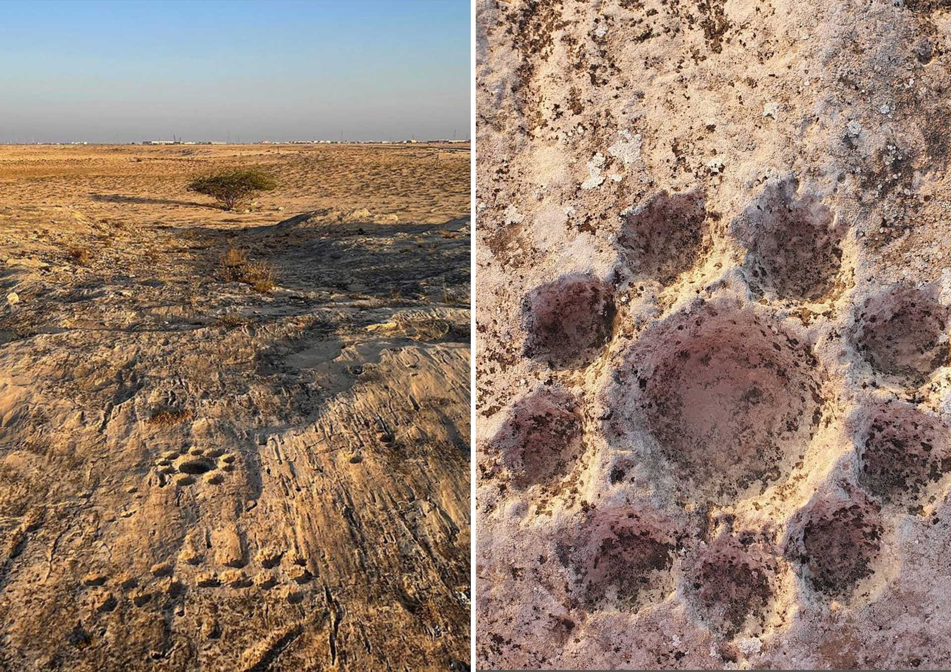 The unique and fascinating stone carvings of Al Jassasiya in Qatar