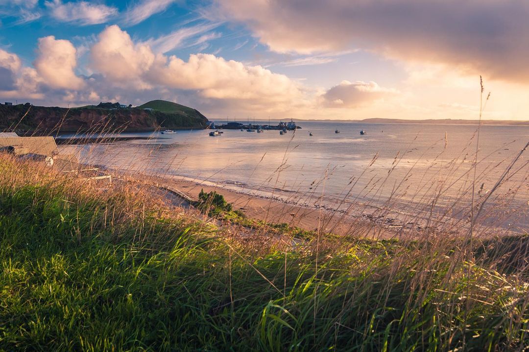 New Zealand's Chatham Islands