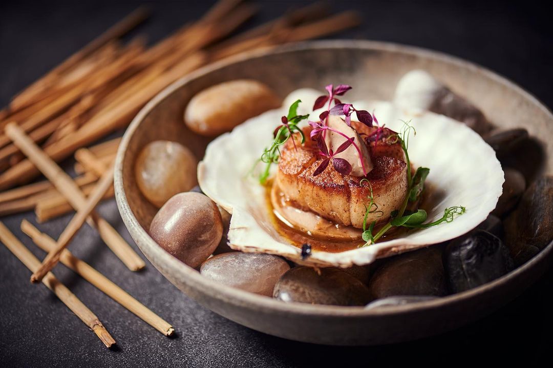 Scallops