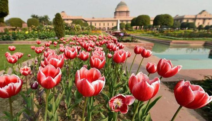 Mughal Gardens