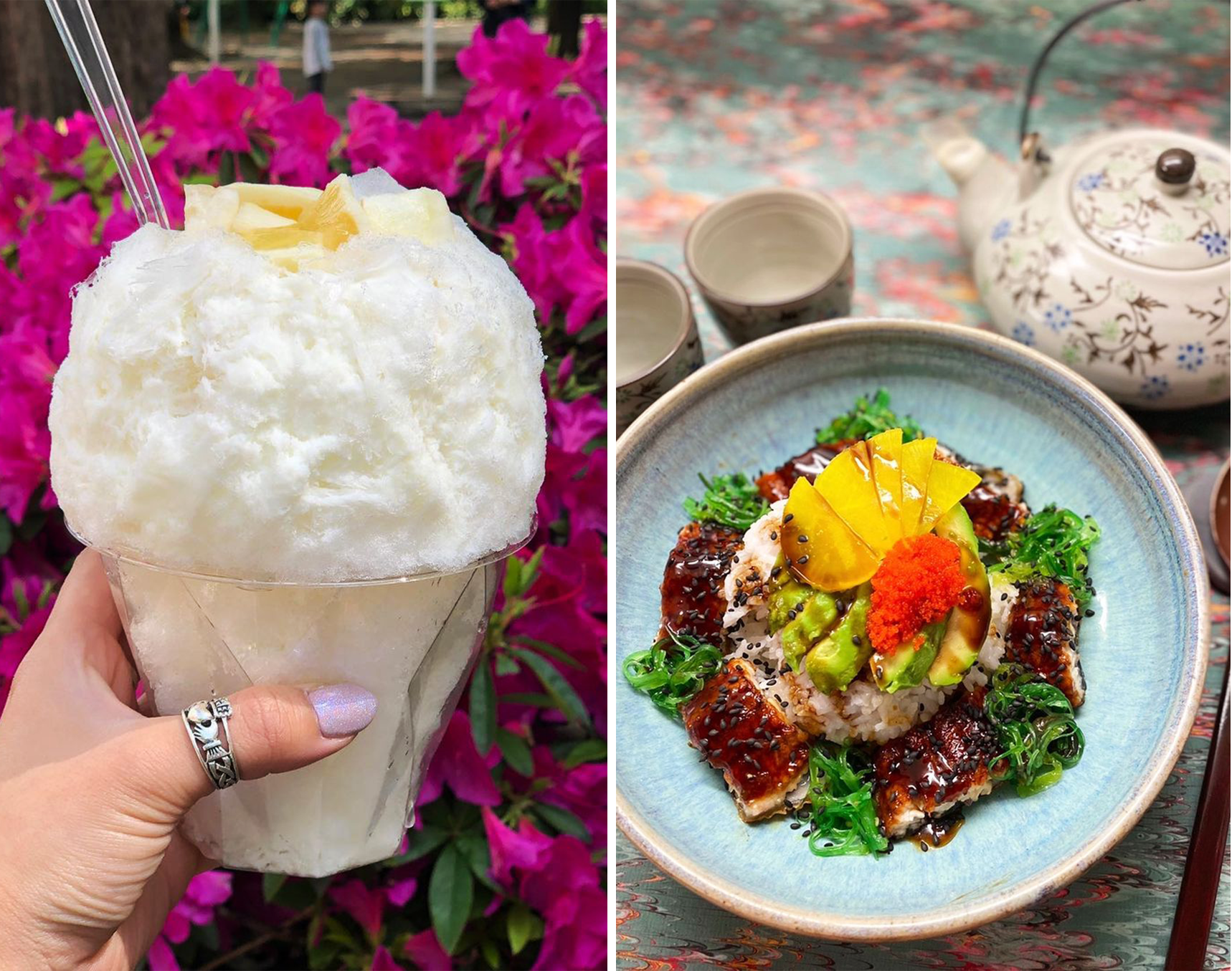 Photo of Japanese kakigori and rice bowl