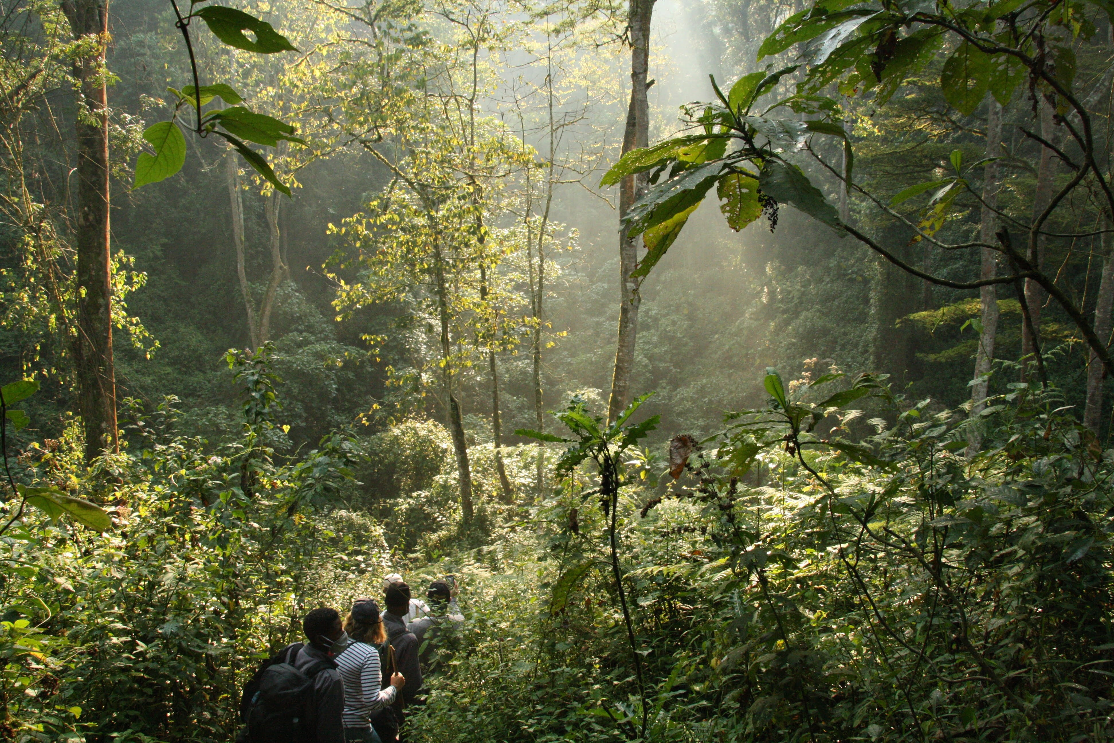 Uganda's national park