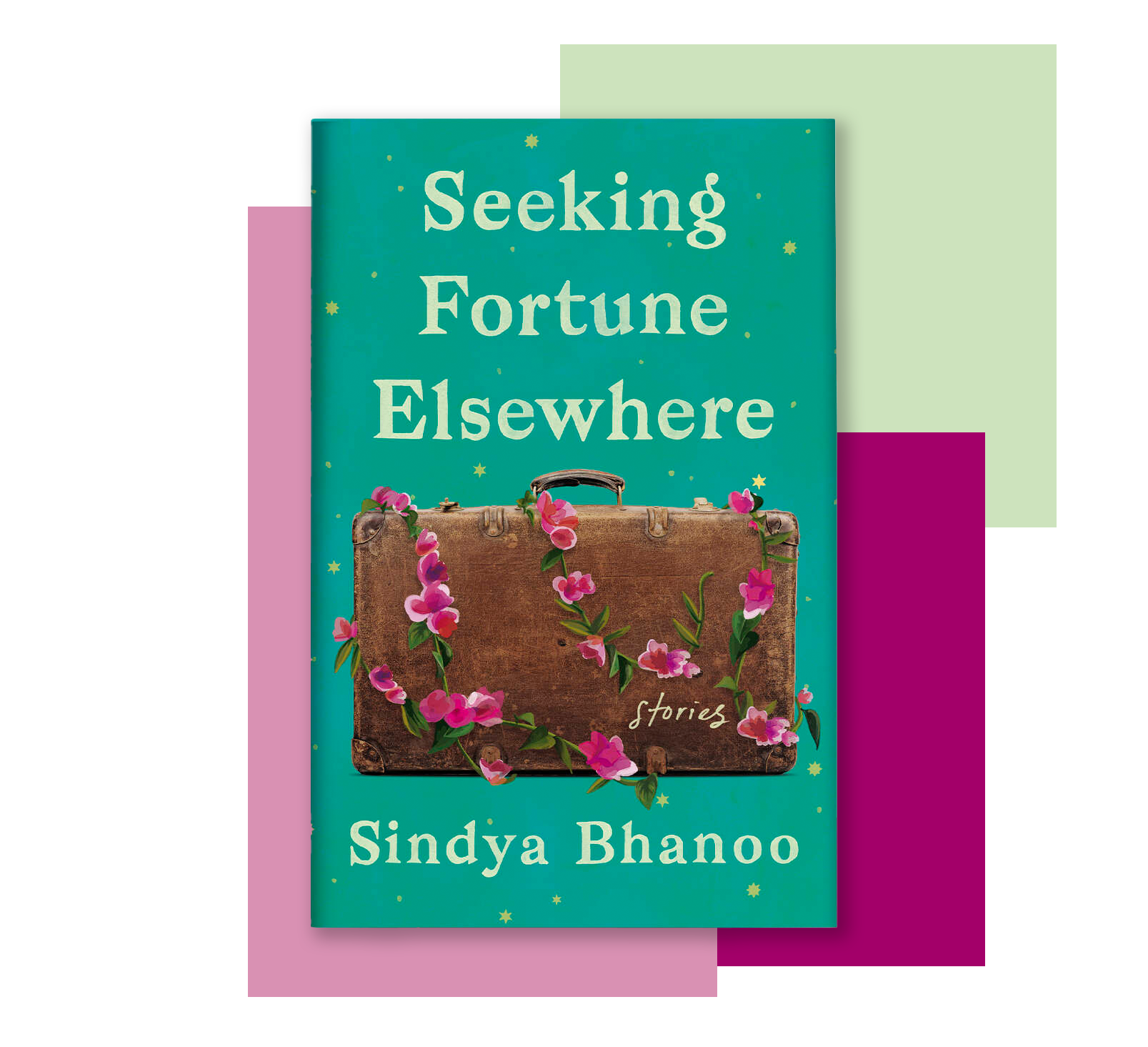 book cover of Seeking Fortune Elsewhere