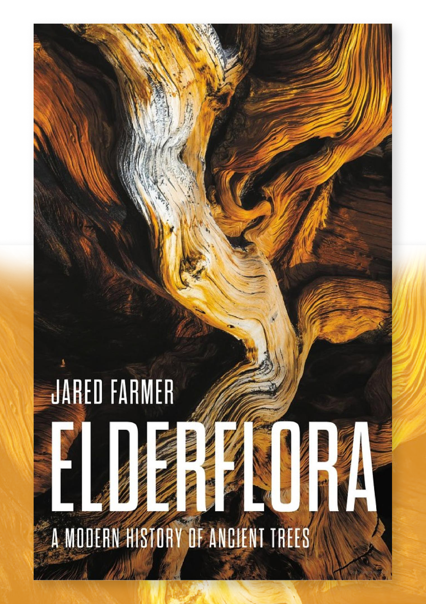 Elderflora book cover