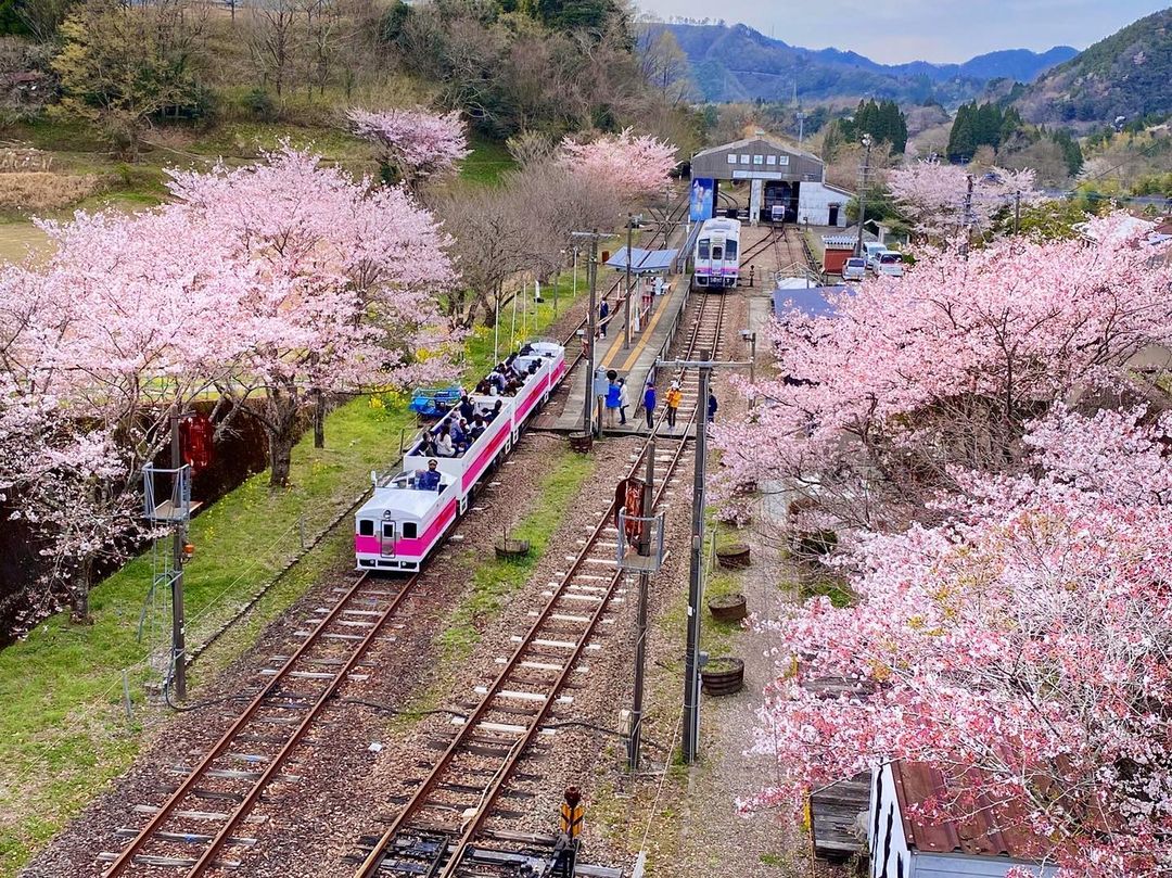 Japan train