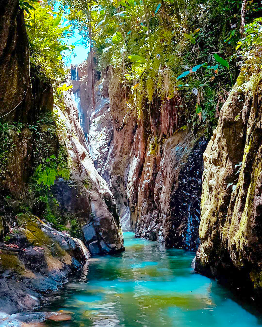 Puerto Rico Trail