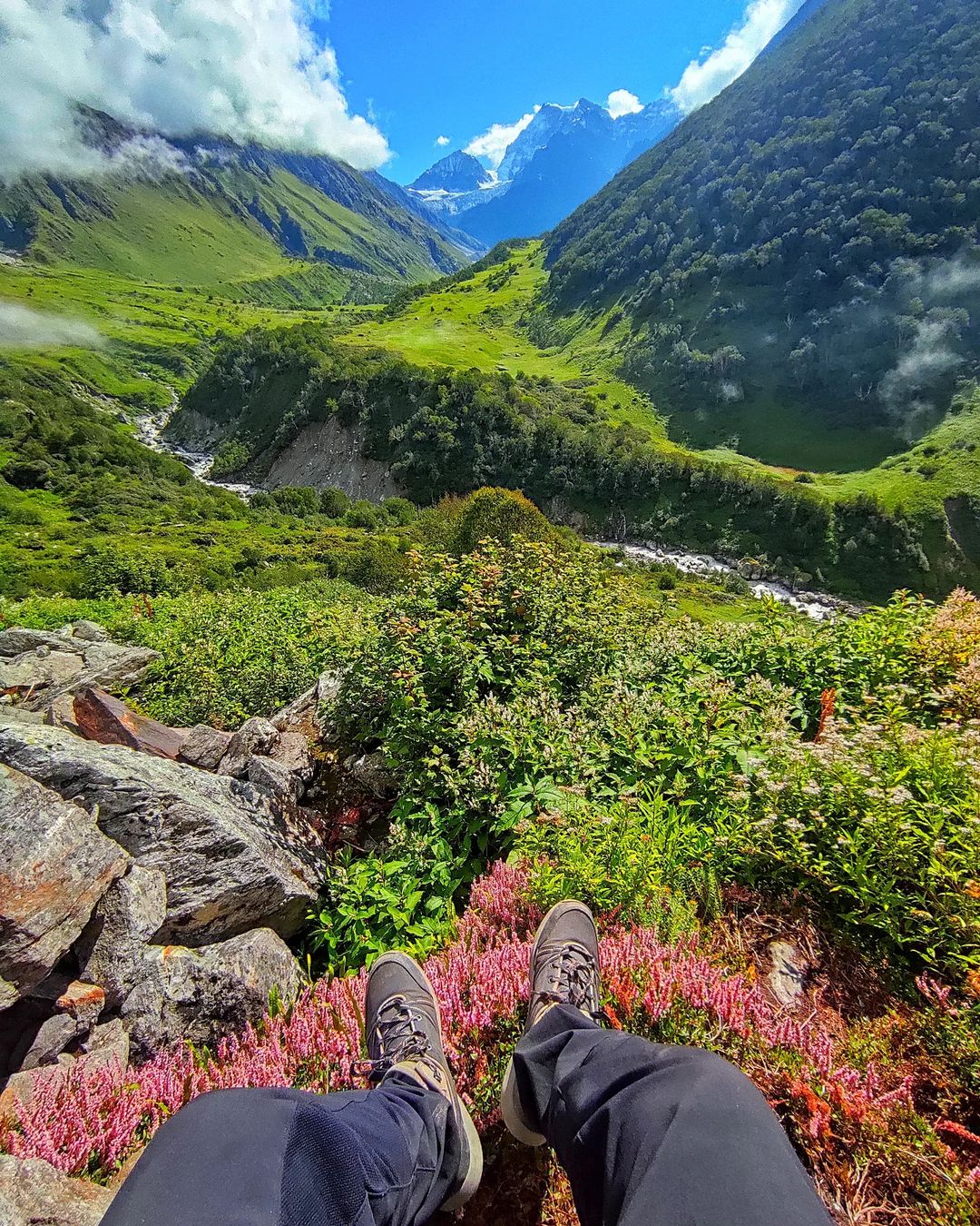 Valley of Flowers