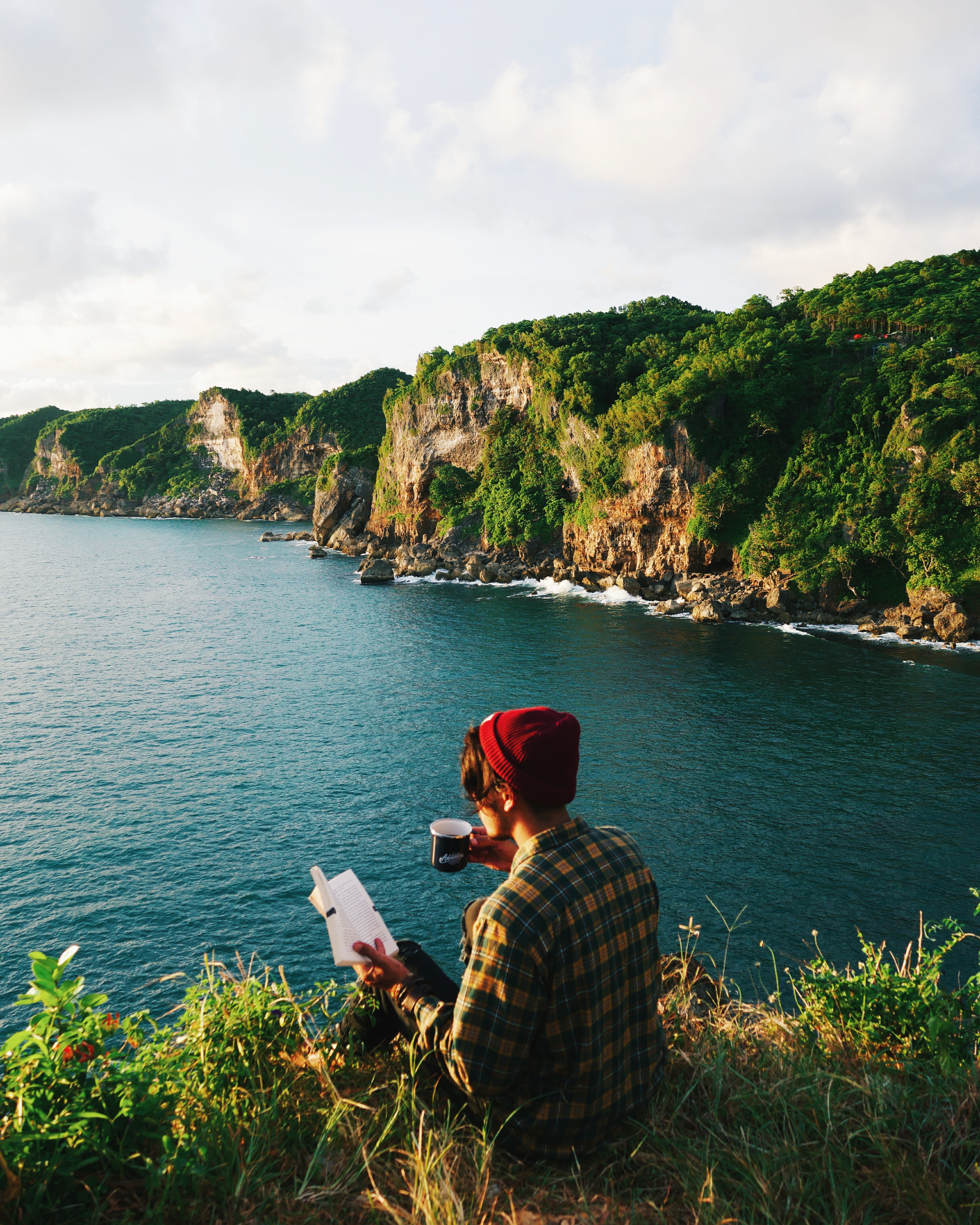 cliffs niksen reading