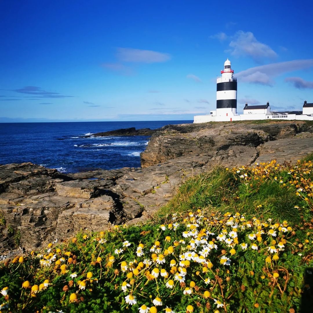 A picture of the trail between Wexford and St Davids called Wexford-Pembrokeshire Pilgrim Way